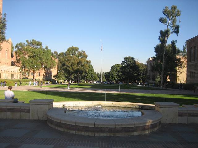 UCLA2