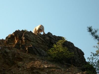 rock-climbing3
