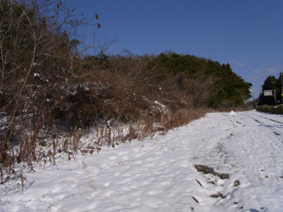 2012寒い005