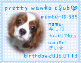 pretty wanko club