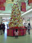 浦和コルソのクリスマスツリー