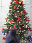 ヨーカドーのクリスマスツリー
