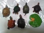 Safari Ltd. Frogs&Turtles Toob　カメ
