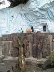 上野動物園　ホッキョクグマ