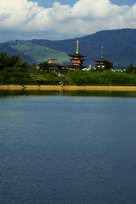 薬師寺風景