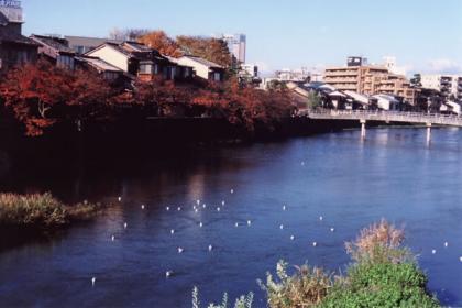 朝の浅野川